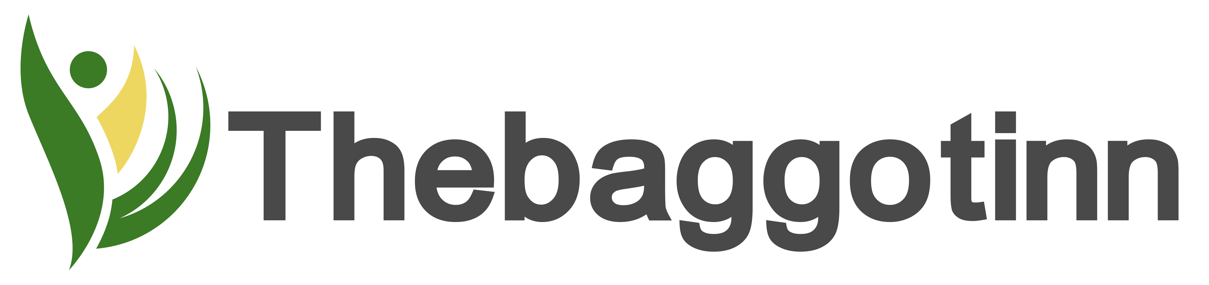 Thebaggotinn